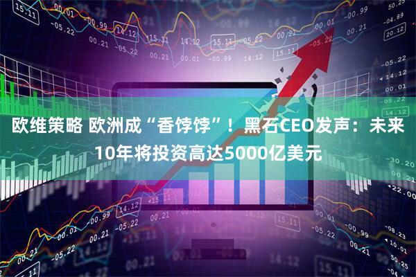 欧维策略 欧洲成“香饽饽”！黑石CEO发声：未来10年将投资高达5000亿美元
