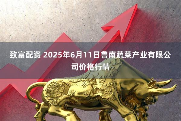 致富配资 2025年6月11日鲁南蔬菜产业有限公司价格行情