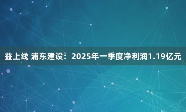 益上线 浦东建设：2025年一季度净利润1.19亿元